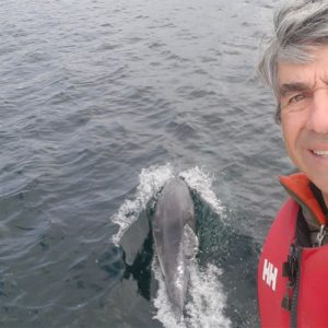 Navegación con cetáceos + Termas Isla Magdalena